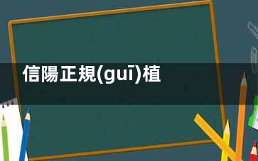 信陽正規(guī)植發(fā)醫(yī)院排名機構(gòu)分享:易韓|東方|美爾|做植發(fā)綜合技術(shù)實力不錯口碑好